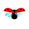 Ladybug fly object isolated art design stock vector illustration